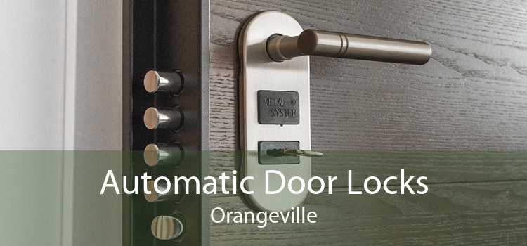 Automatic Door Locks Orangeville