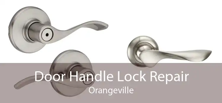 Door Handle Lock Repair Orangeville