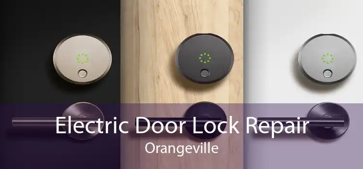 Electric Door Lock Repair Orangeville