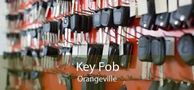 Key Fob Orangeville