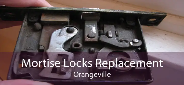 Mortise Locks Replacement Orangeville