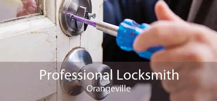 Professional Locksmith Orangeville
