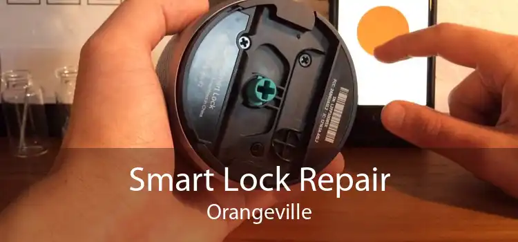 Smart Lock Repair Orangeville